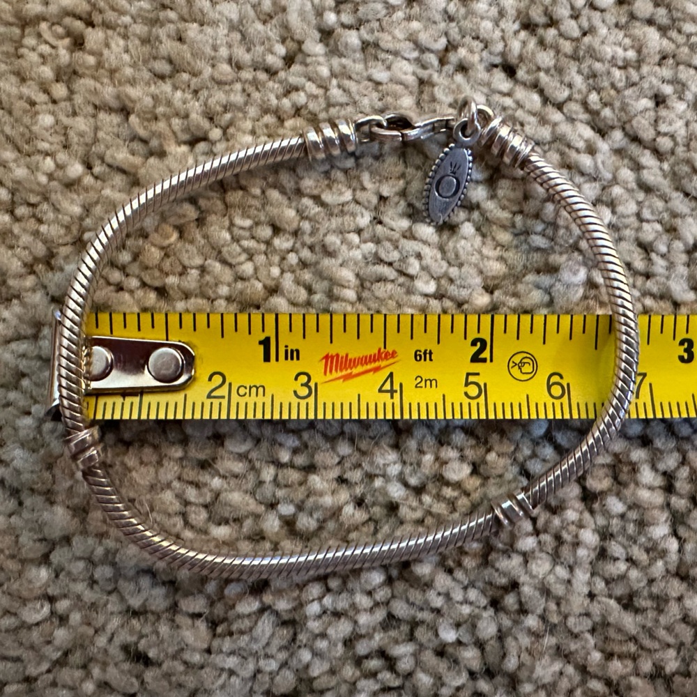 Pandora Charm Bracelet